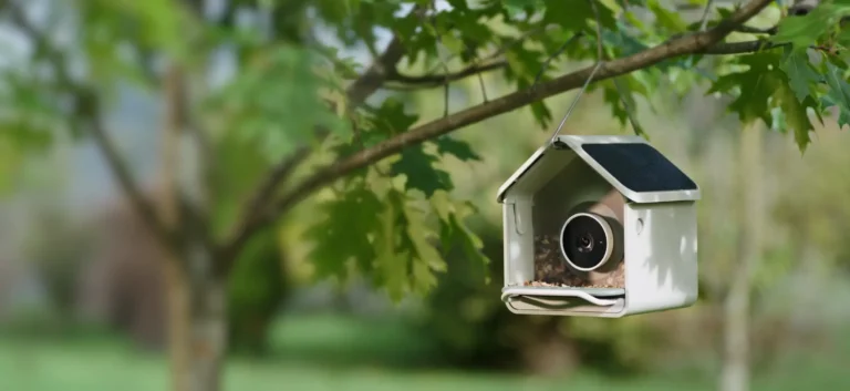 Birdbuddy Nook smart bird feeder with camera hanging among green leaves, featured in a WordPress WooCommerce case study